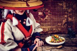 Curry Végétarien des Sheikahs