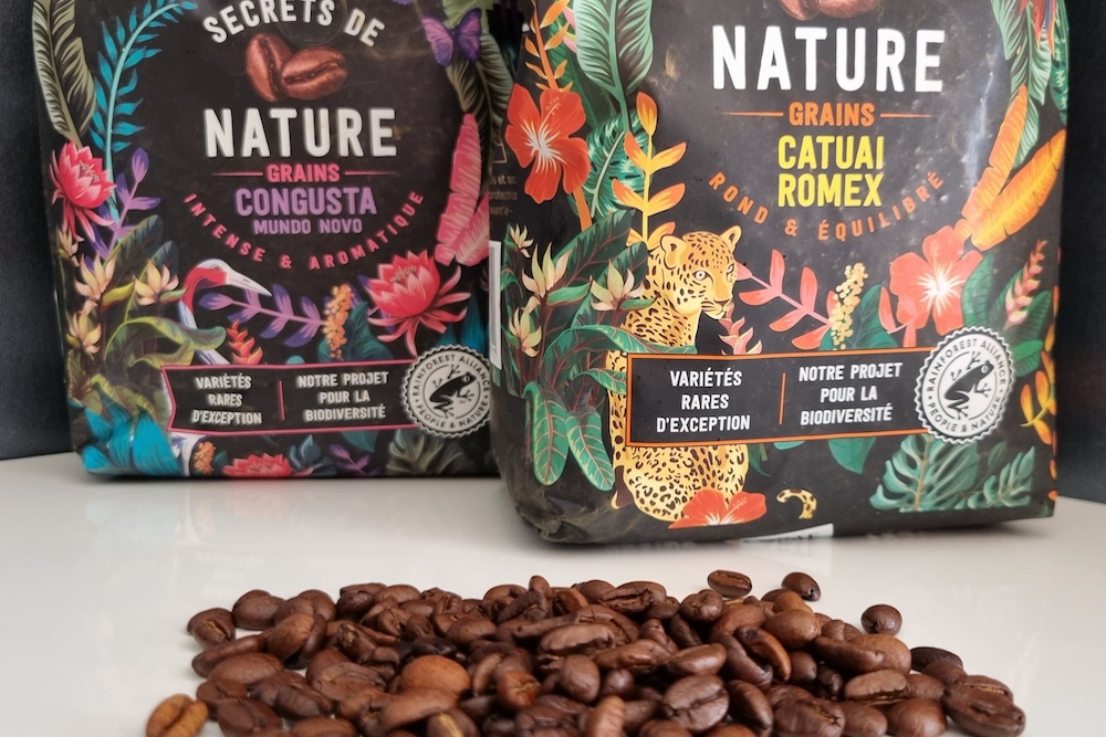 Carte Noire : Secrets de Nature, un assemblage de variétés de café plus résilientes au changement climatique