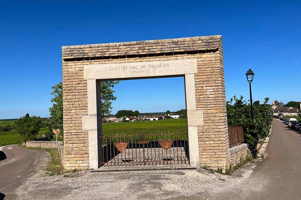 Porte d'entrée d'une vigne exceptionnelle