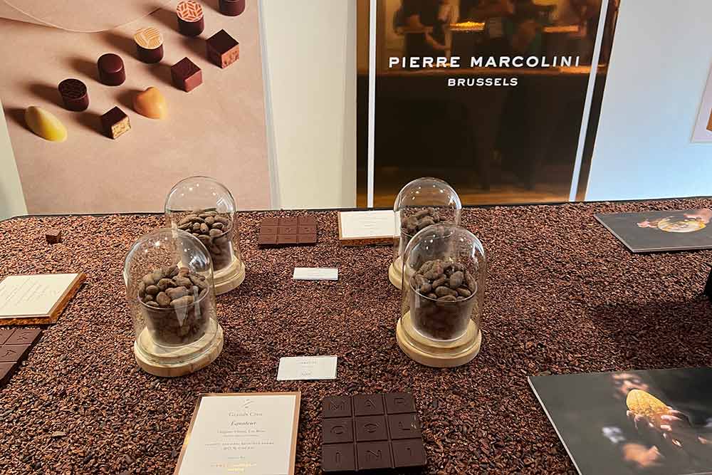 Des fèves de qualité pour les chocolats Pierre Marcolini