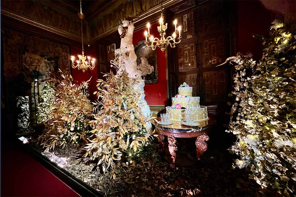 Vaux-le-Vicomte - Le Grand Noël dans la Chambre Carrée