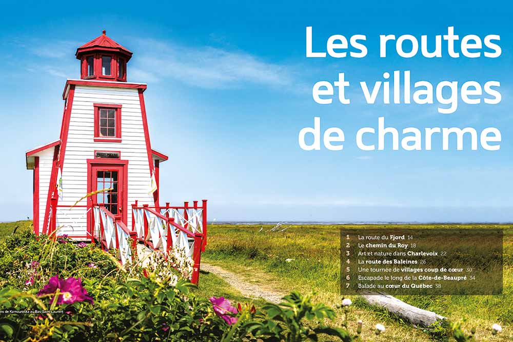 ROGER PHILLIPS - Les Champignons du Québec N. éd. - Flore et minéraux -  LIVRES -  - Livres + cadeaux + jeux