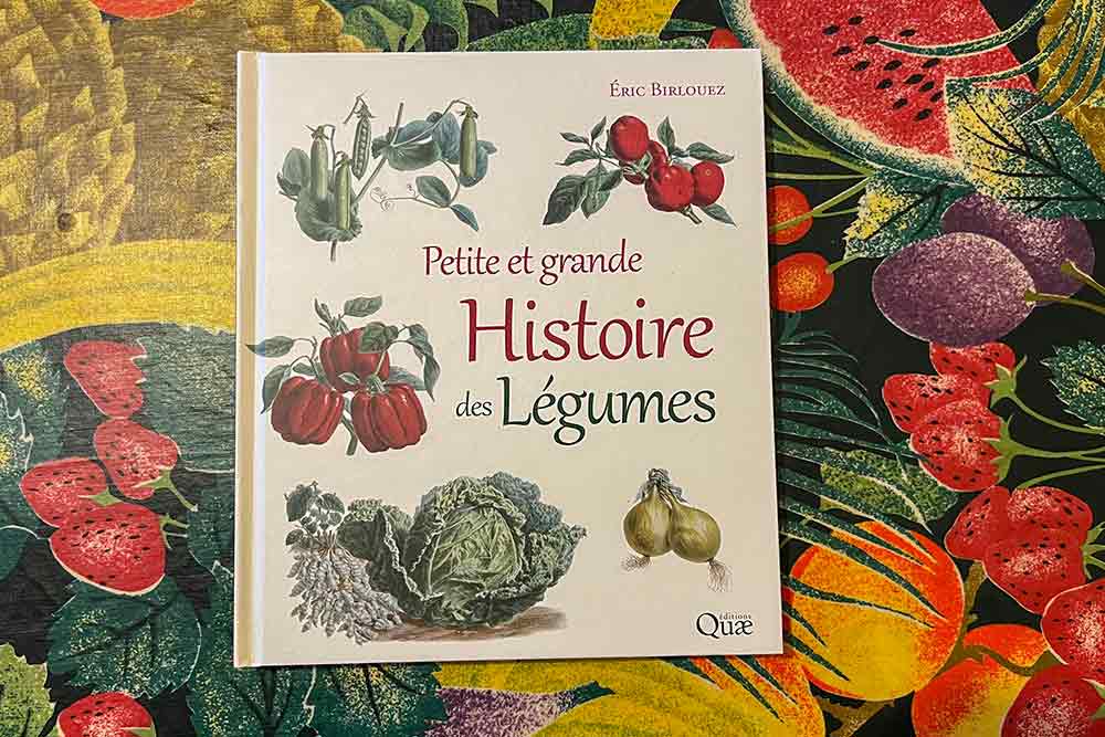 Une Saga des légumes : explorations culinaires et culturelles à travers les âges