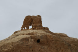 Le rocher dit de l’éléphant près de Um Sayoun.