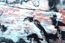 L’intérieur des cavités creusées par les Nabatéens révèlent une roche striée de veines de couleurs éblouissantes.