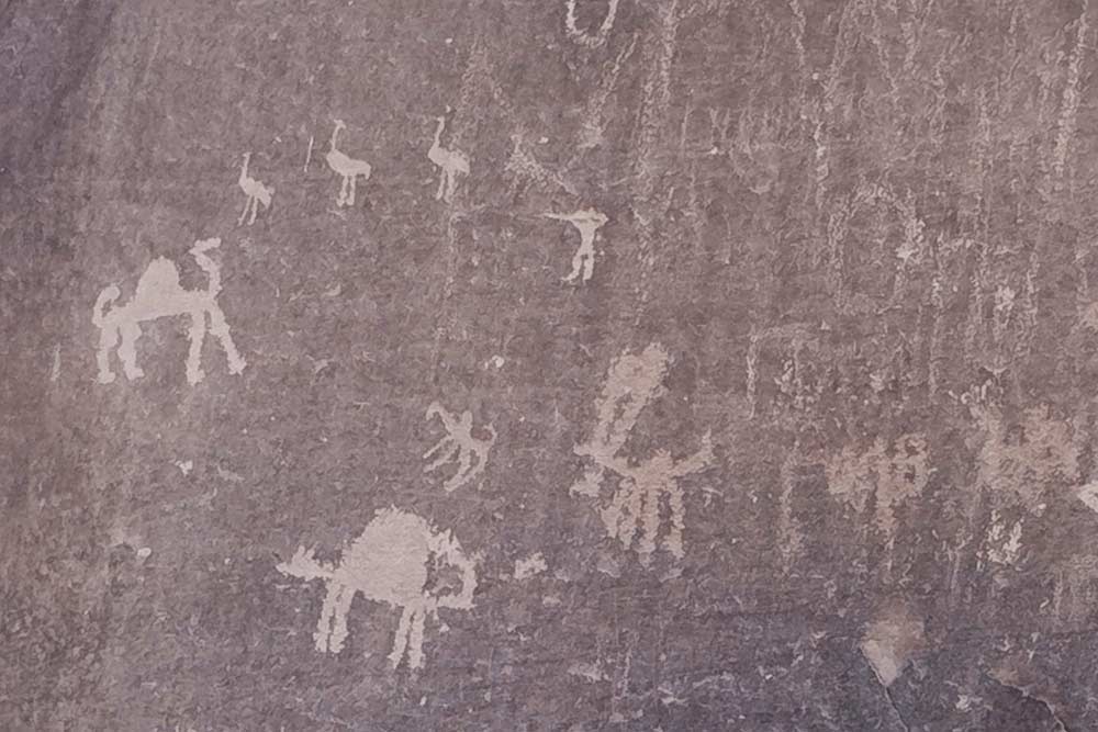 Les pétroglyphes, les inscriptions gravées et les vestiges archéologiques retrouvés dans le Wadi Rum témoignent d’une occupation humaine vieille de 12 000 ans. On y a décelé le début de l’écriture alphabétique.