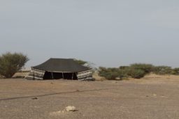Wadi Rum - Une tente et un campement de nomade dans le Wadi Araba