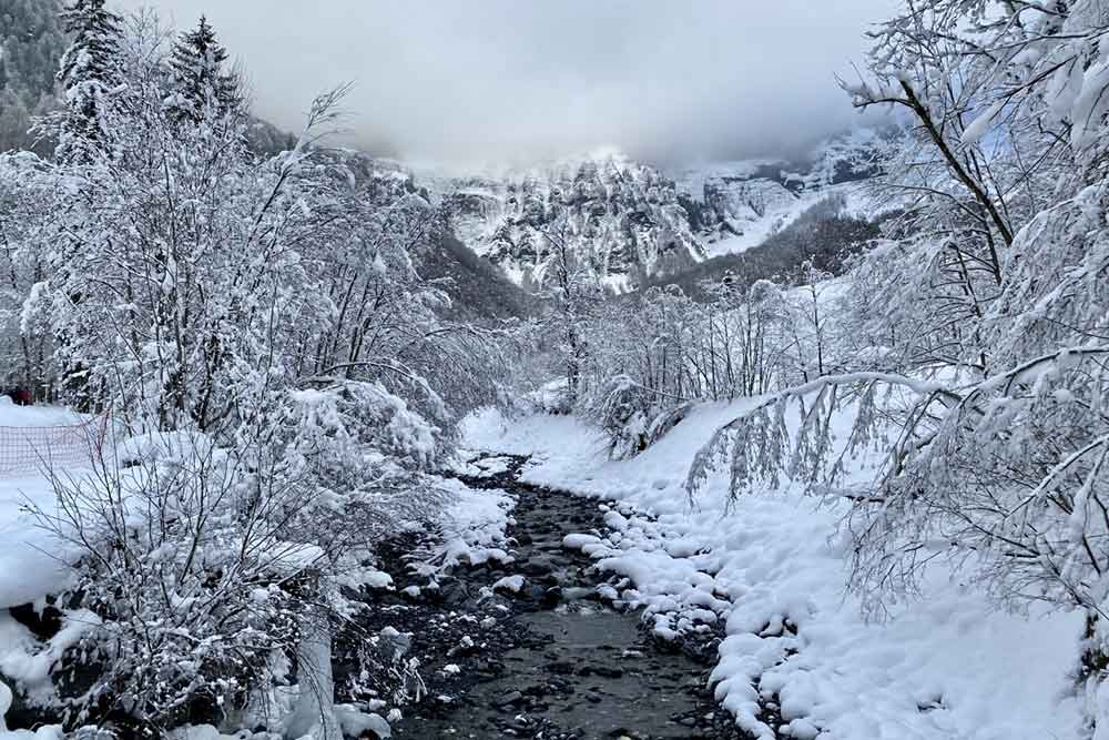 Samoëns - Petit ruisseau qui coule entre les arbres recouverts de neige 