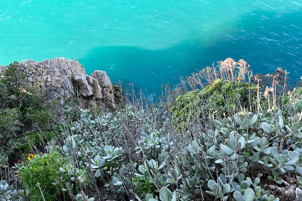 La baie des milliardaires au cap d’Antibes : eaux turquoise et succulentes…