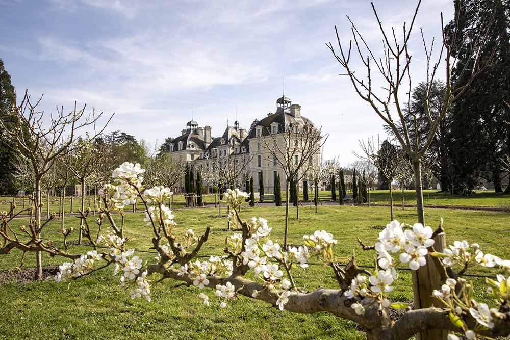 Château de Cheverny - Pressez-vous et profitez du printemps pour découvrir le domaine en fleurs…