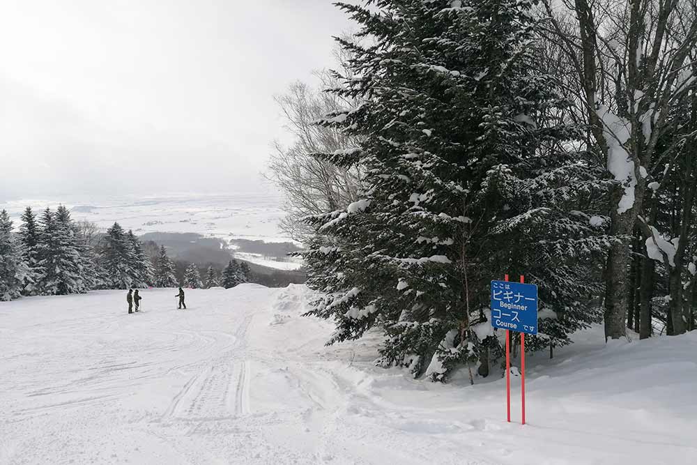 Hokkaido - Meme sur les pistes, la neige est duveteuse, moelleuse, légère à souhait.
