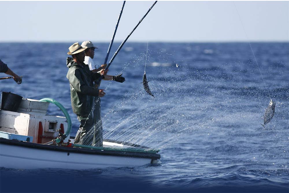 Pêche durable - avec Fish4Ever dont Charles Redfern est le fondateur.