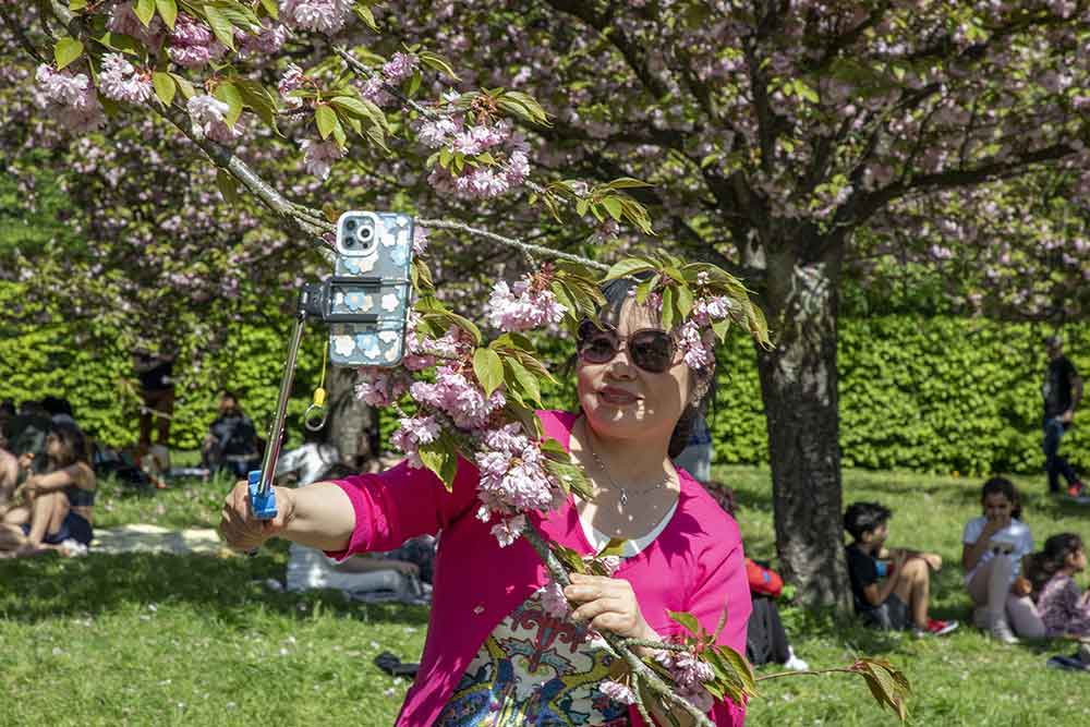 Parc de Sceaux - Des milliers de selfies sont pris chaque jour…
