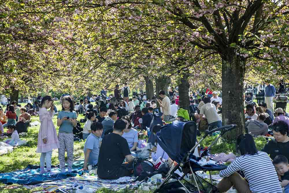 Parc de Sceaux - À l’heure du déjeuner, il y avait énormément de monde ce samedi 13 avril.