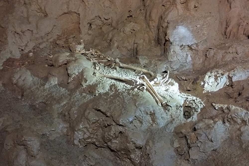 Villeneuve-d’Aveyron - Le squelette d’un homme du Néolithique