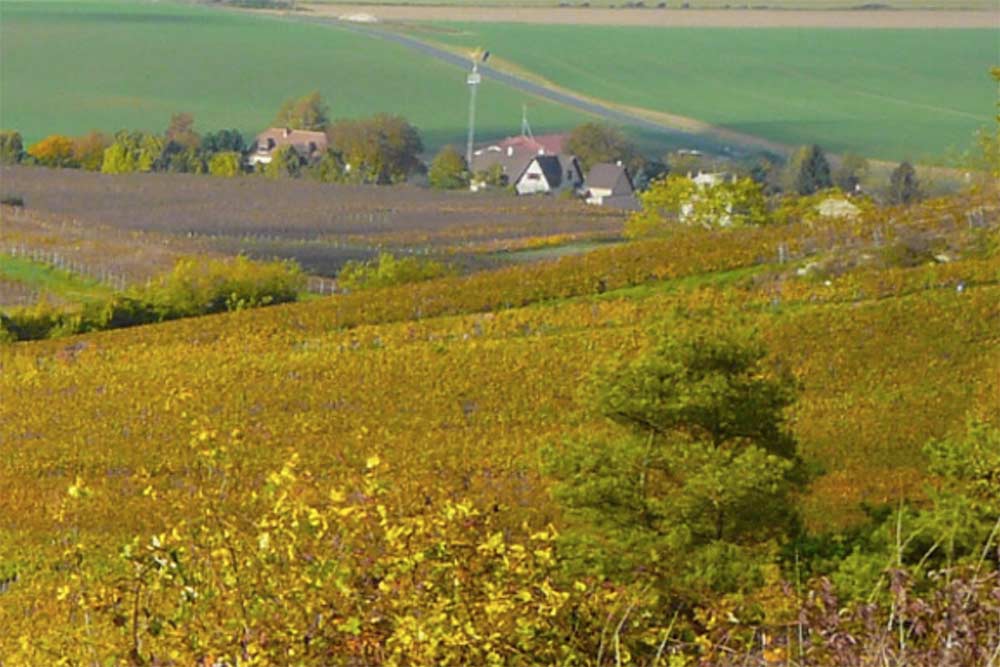 Un emplacement privilégié pour le vignoble.