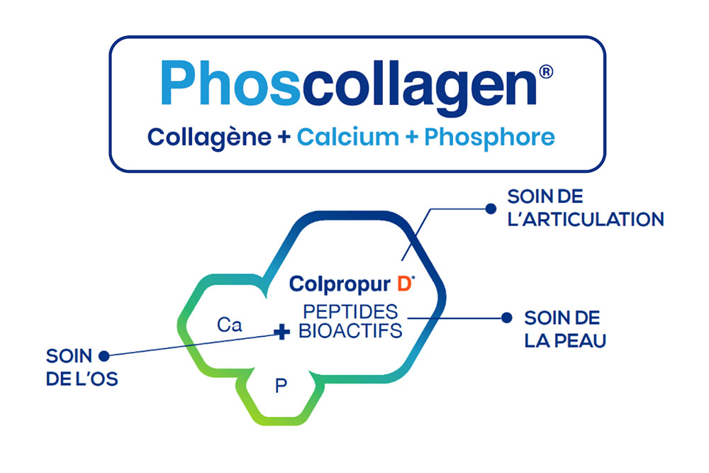 Le Phoscollagen, un complexe innovant pour la santé des os