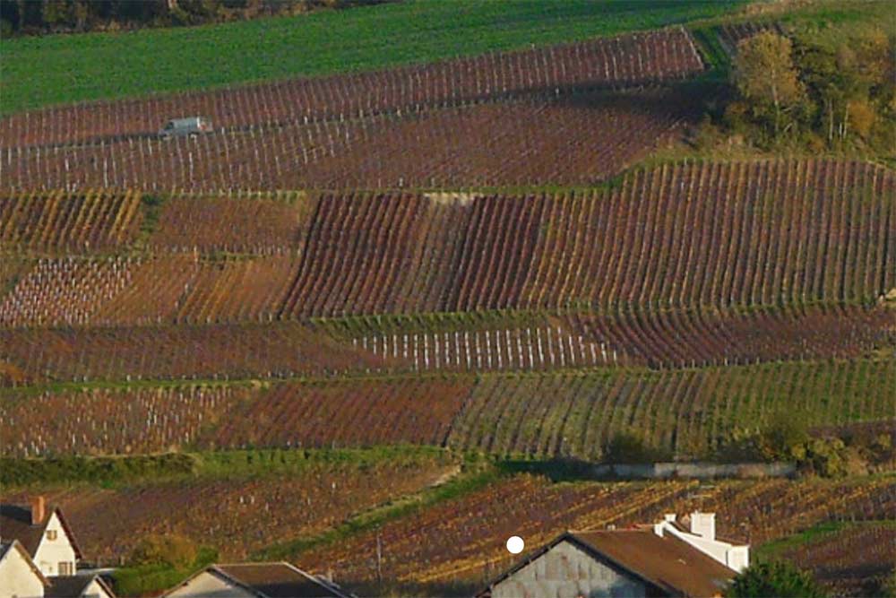 Un emplacement privilégié pour le vignoble.