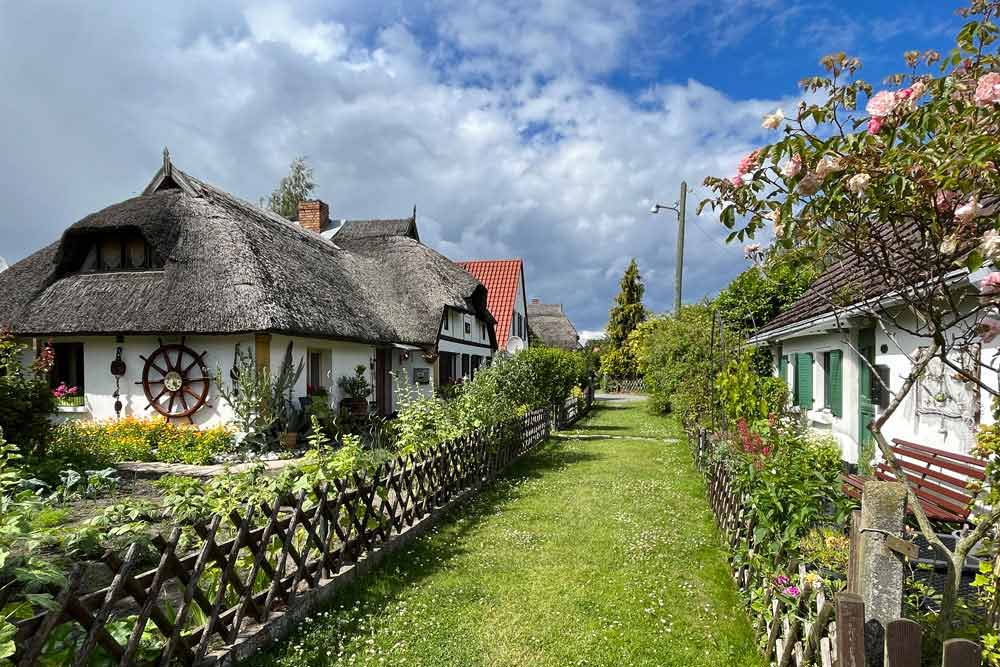 Jolie allée de Wieck (environs de Greifswald)