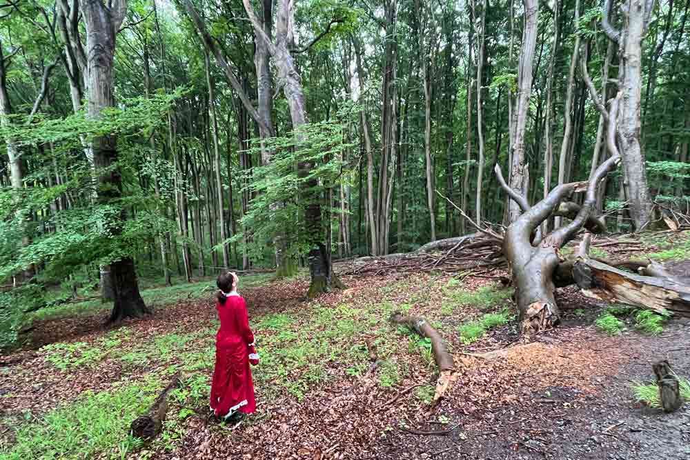 Notre guide déguisée en Carolina dans la forêt de hêtres (Rügen)