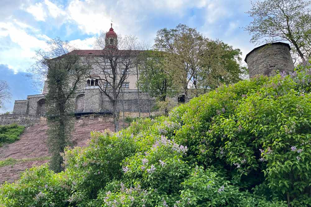 Le château dominant la ville (Nachod)