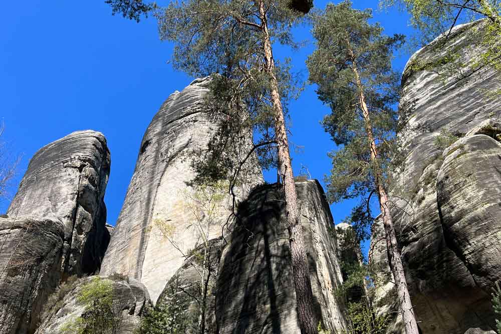 Hradec Králové - Arbres et hauts rochers Adrspach-Teplice