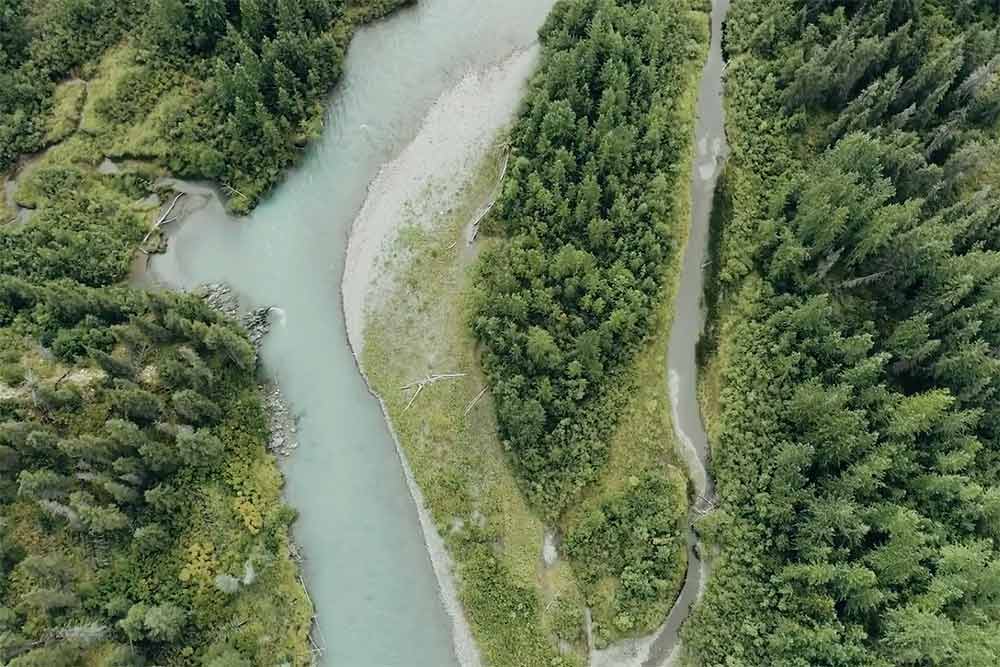 La protection de la nature est dans l'ADN de la marque.