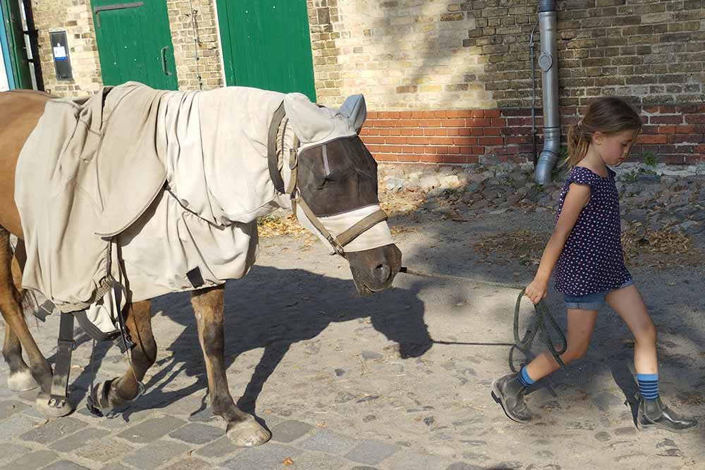 Les enfants peuvent s’initier à l’équitation et aux soins à apporter aux chevaux.