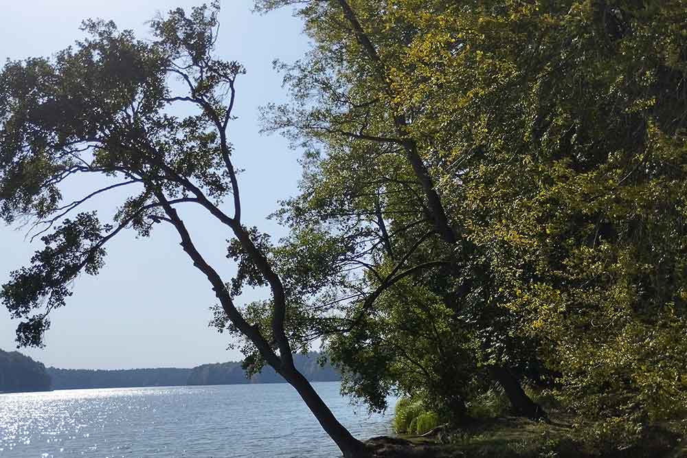 L'Oberpfuhl fait partie du réseau des lacs entourant Lychen et du parc naturel des lacs d'Uckermark.