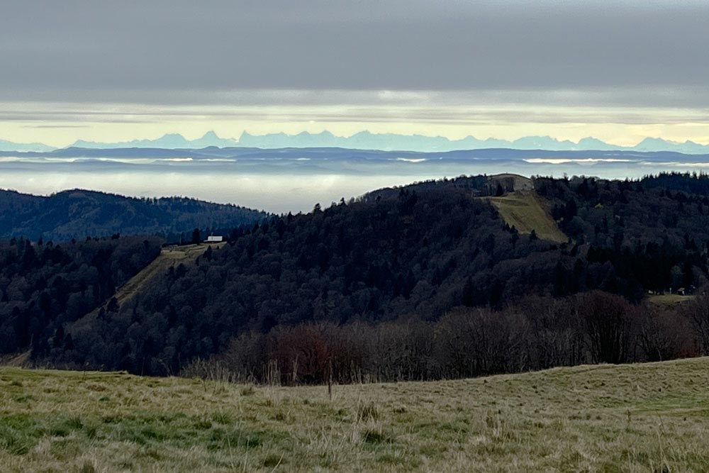 Vue depuis le sommet du Ballon avec au fond l’Oberland, les Alpes suisses et le Mont Blanc