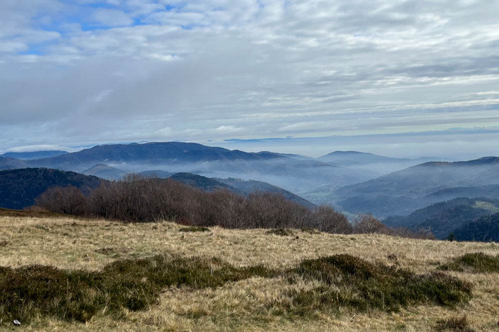 Paysage (Ballon d’Alsace)