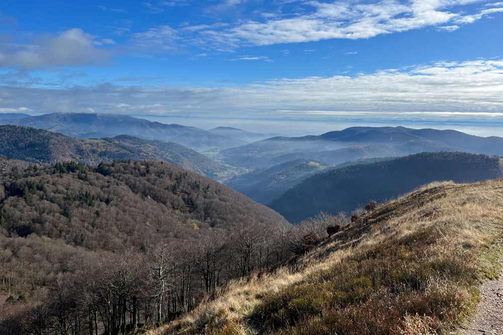 Vue depuis le Ballon d’Alsace