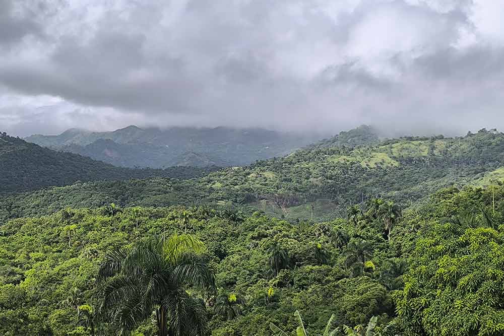 République Dominicaine - Une région luxuriante.