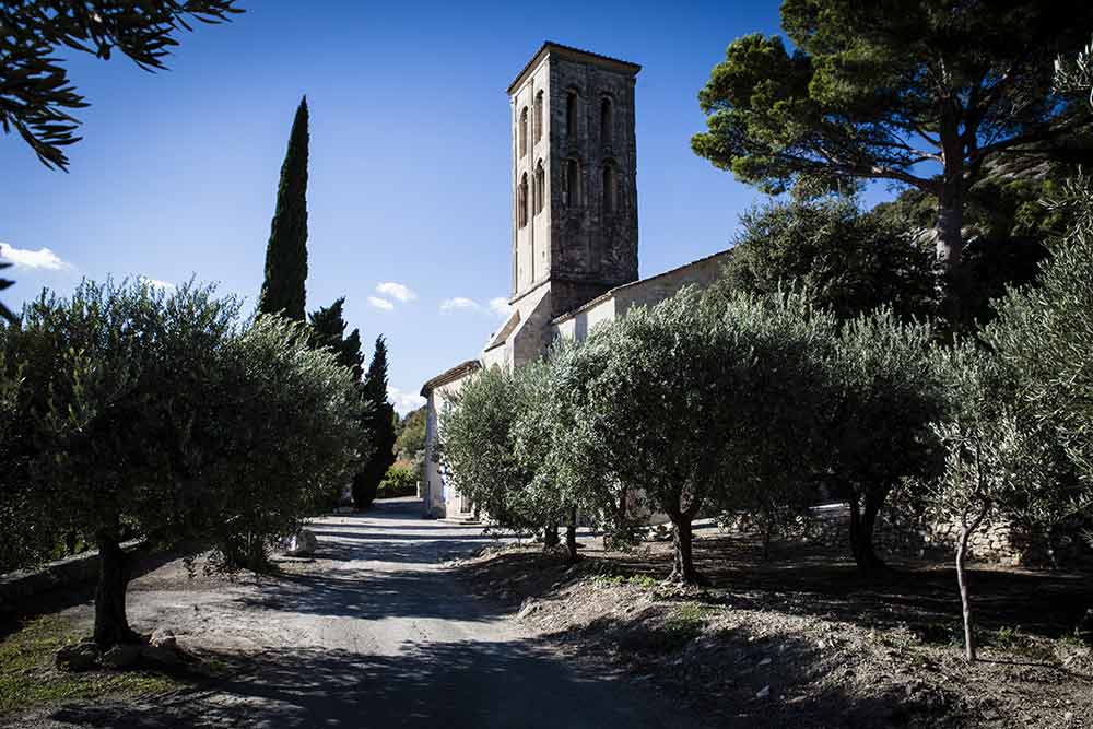 Bois Doré - Notre Dame Aubune à Beaumes de Venise.