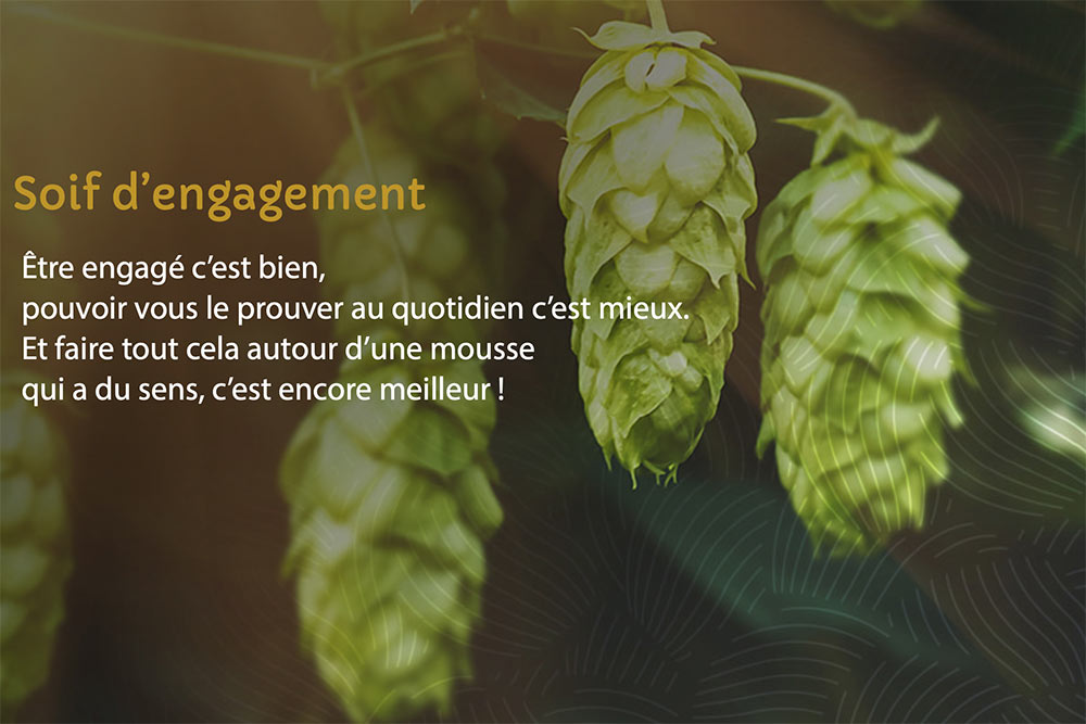 Bière : la qualité avant tout.