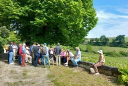 Festival Philosophia - Conférence dans la nature.
