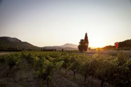 Magnifique coucher de soleil sur le Ventoux.
