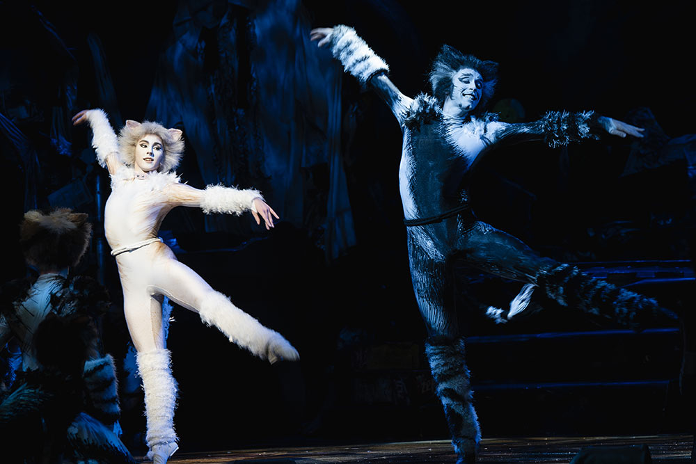 Cats - des danseurs exceptionnels.