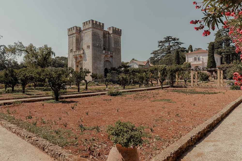 La Tour vue de jour.