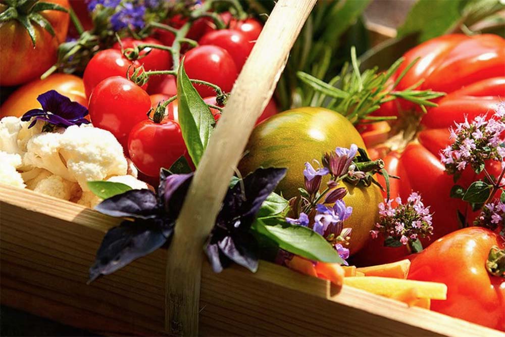 Domaine des Andéols - Les légumes du potager.