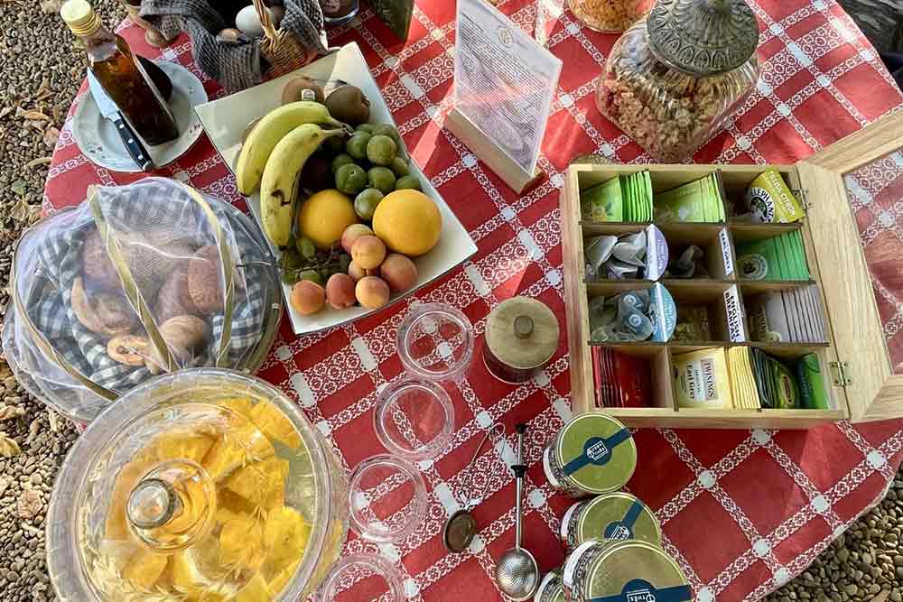 Un pic-nique bien sympathique.