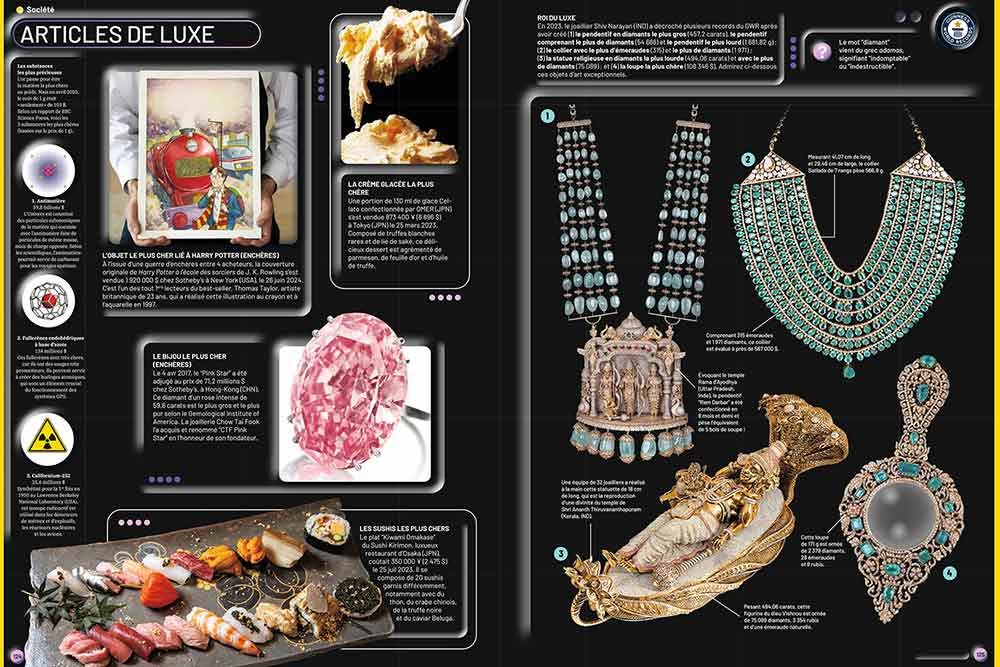Edition 2026 Guinness World - Records : le livre annuel le plus vendu au monde.