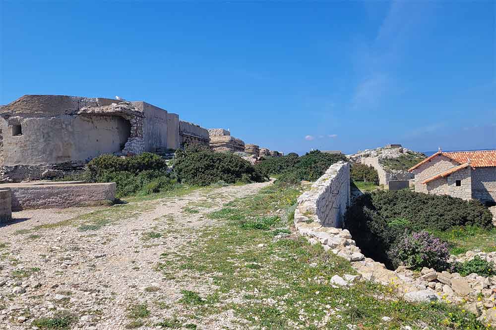 Le long des bunkers courraient des tranchées pour les hommes et les réseaux de communication.