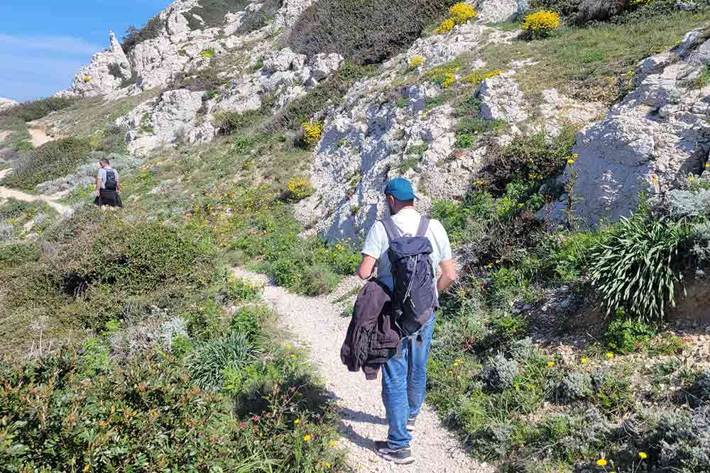 Outre l’Histoire, une balade au Frioul est l’occasion de découvrir une nature fragile.