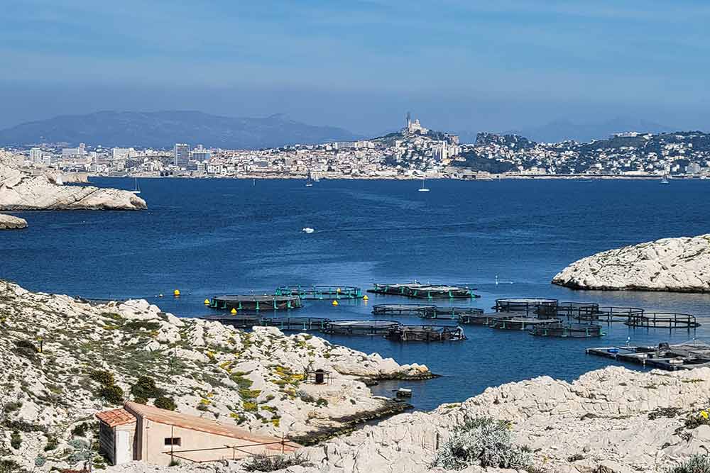 Une ferme piscicole a été créée au Frioul.