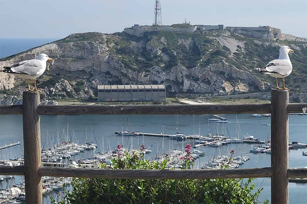 Visiter les fortifications du Frioul peut vite devenir une leçon d’histoire vivante.