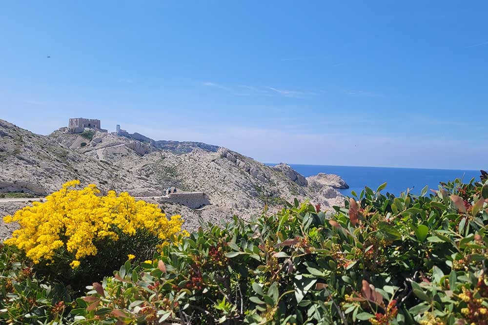 Malgré l’aridité des îles, la végétation reste splendide, surtout au printemps.