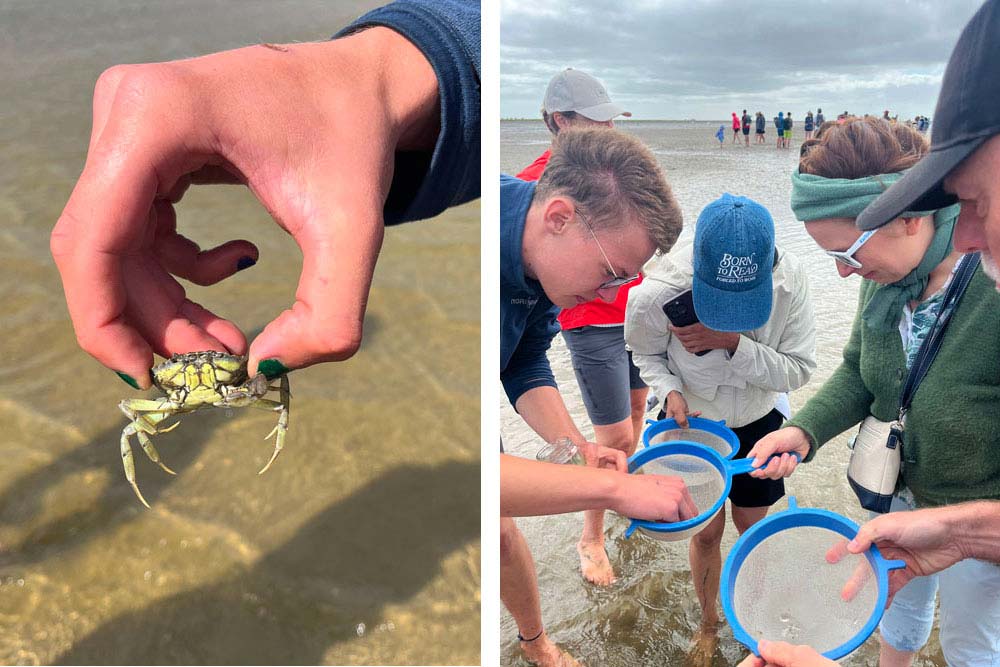 Petit crabe vert et pêche à l’épuisette avec le jeune guide Anton Guenther (à gauche)