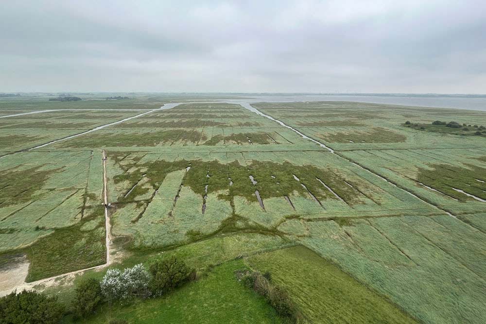 Vue du haut du phare sur la lande et la mer de Wadden