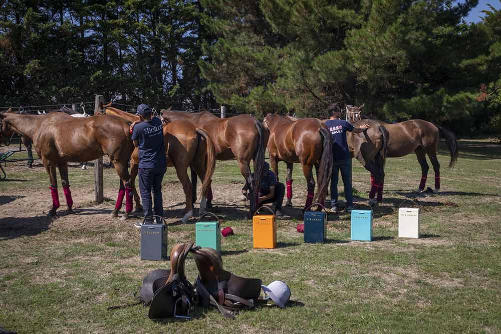 Fieldbar - Le Brittany Polo Club a adopté les glacières Fieldbar depuis 2024… © Caroline Paux